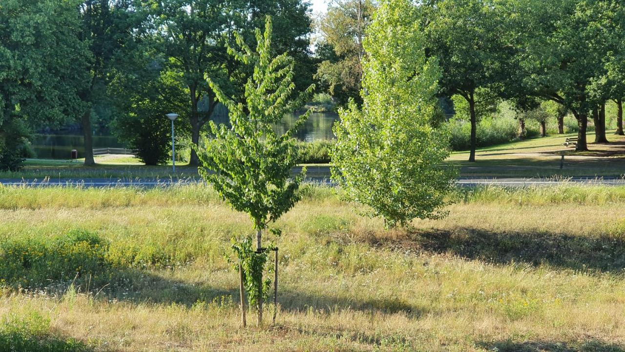 Logies Bij Wandelpad Te Холтен Екстериор снимка